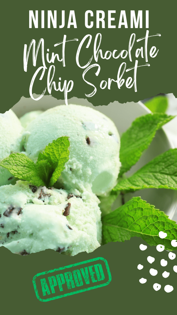 Ninja Creami Mint Chocolate Chip Ice Cream 