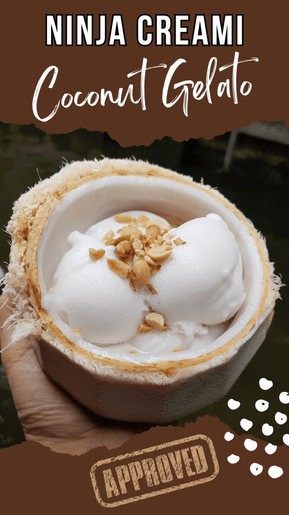 Ninja Creami Coconut Gelato Recipe