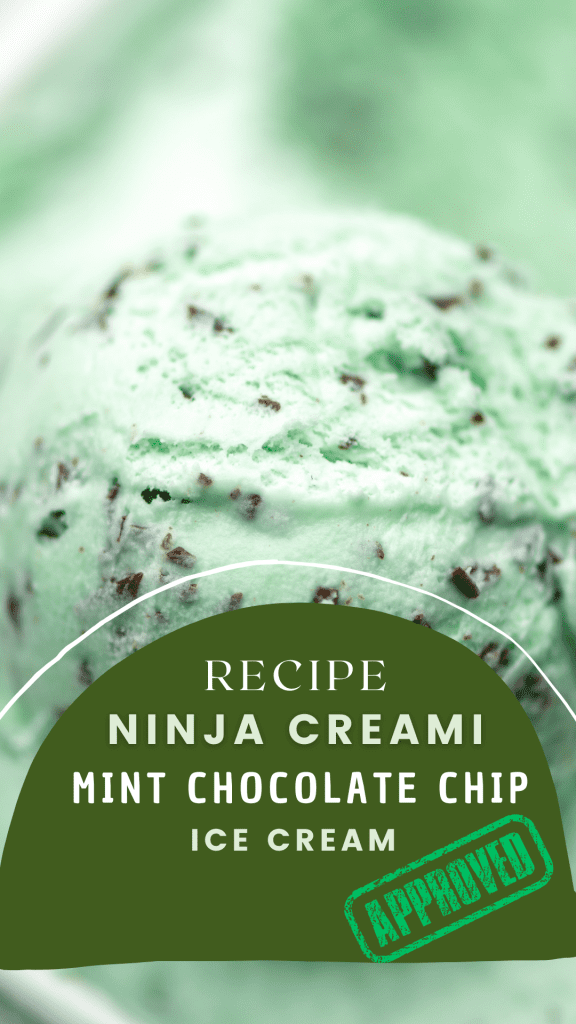 Ninja Creami Mint Chocolate Chip Ice Cream Recipe