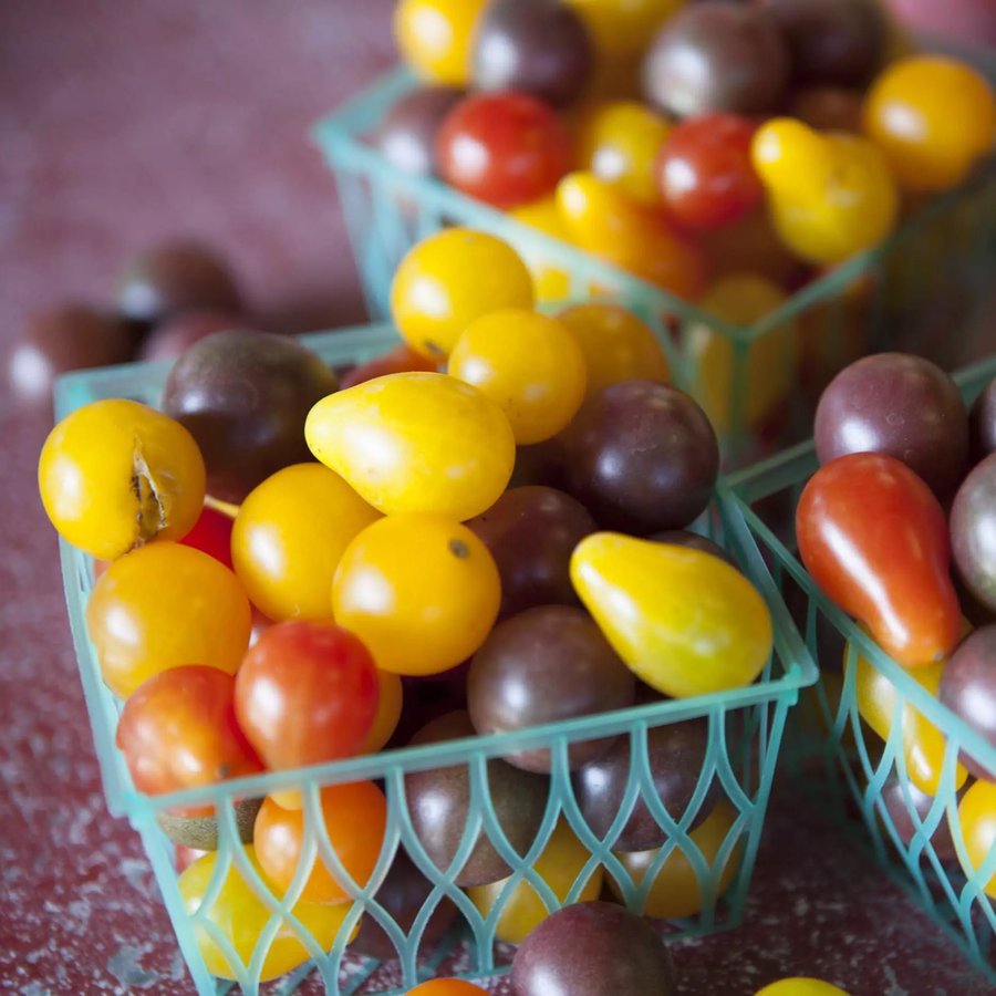 Heirloom Tomato Salad with Pickled Ramp Vinaigrette