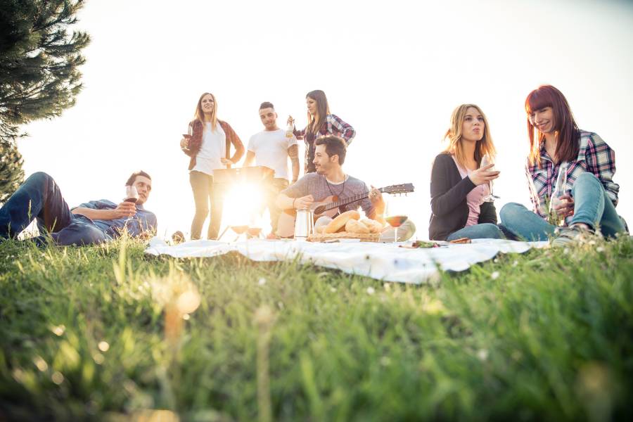 Picnic in the Park (1)