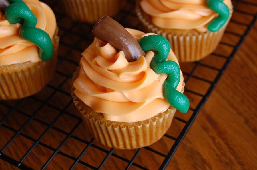 Pumpkin Spice Cupcakes with Orange Sour Cream Frosting