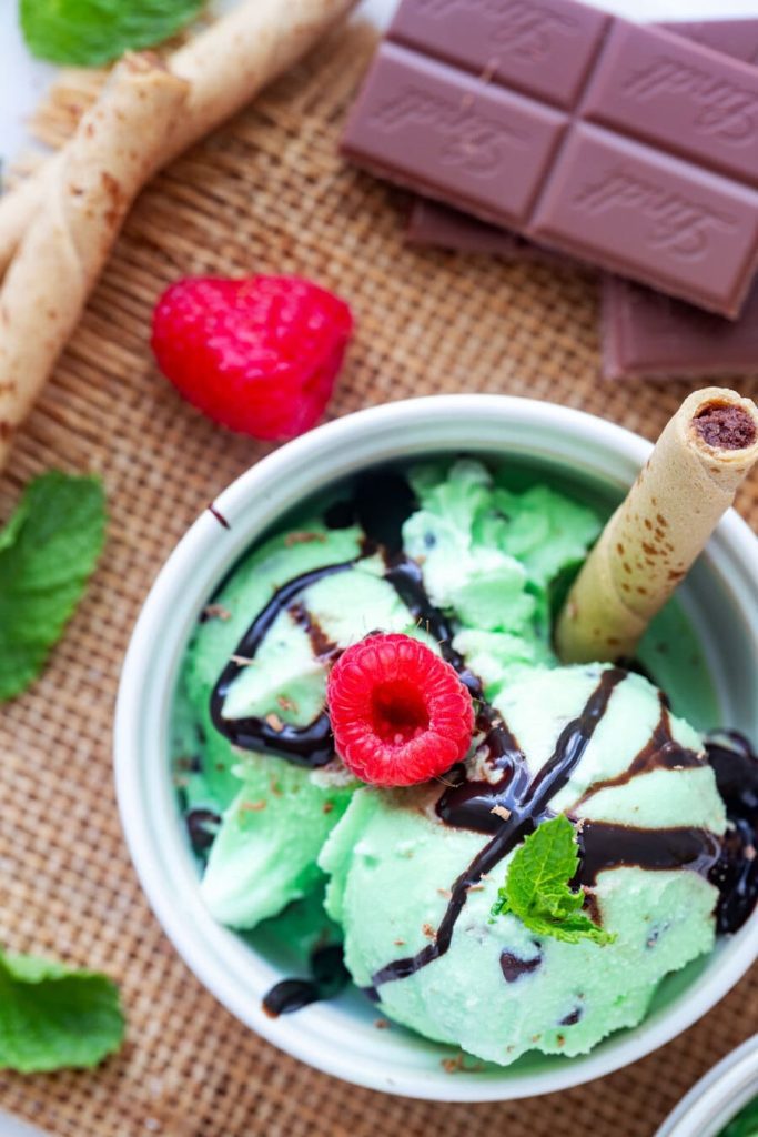 Sugar-Free Mint Chocolate Chip Ice Cream