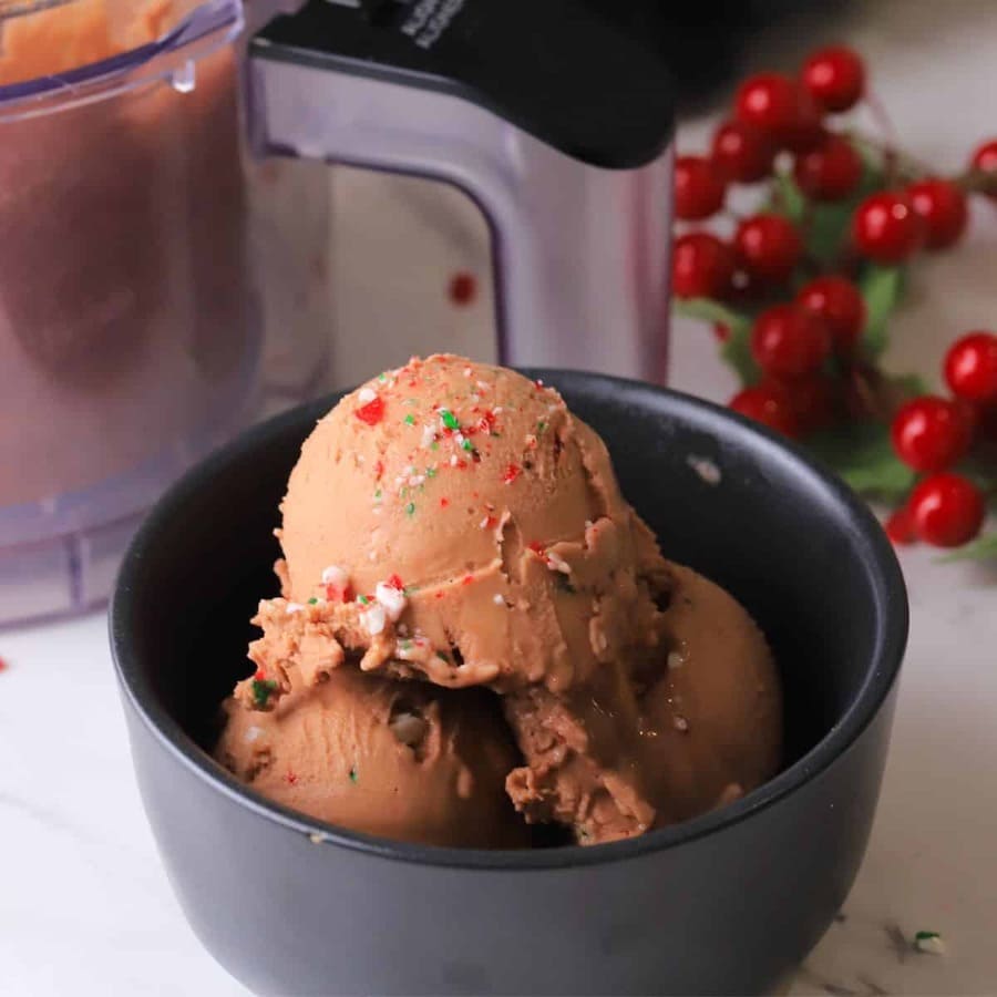 Sugar-Free Peppermint Mocha Ice Cream