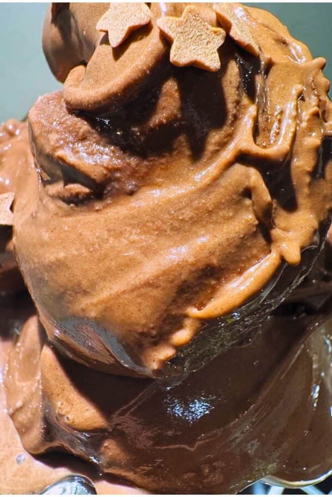 Ninja Creami Chocolate Fudge Ice Cream