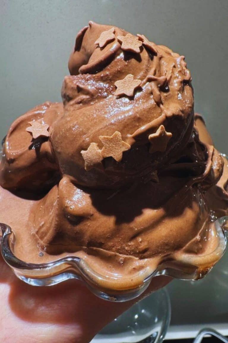 Ninja Creami Chocolate Fudge Ice Cream